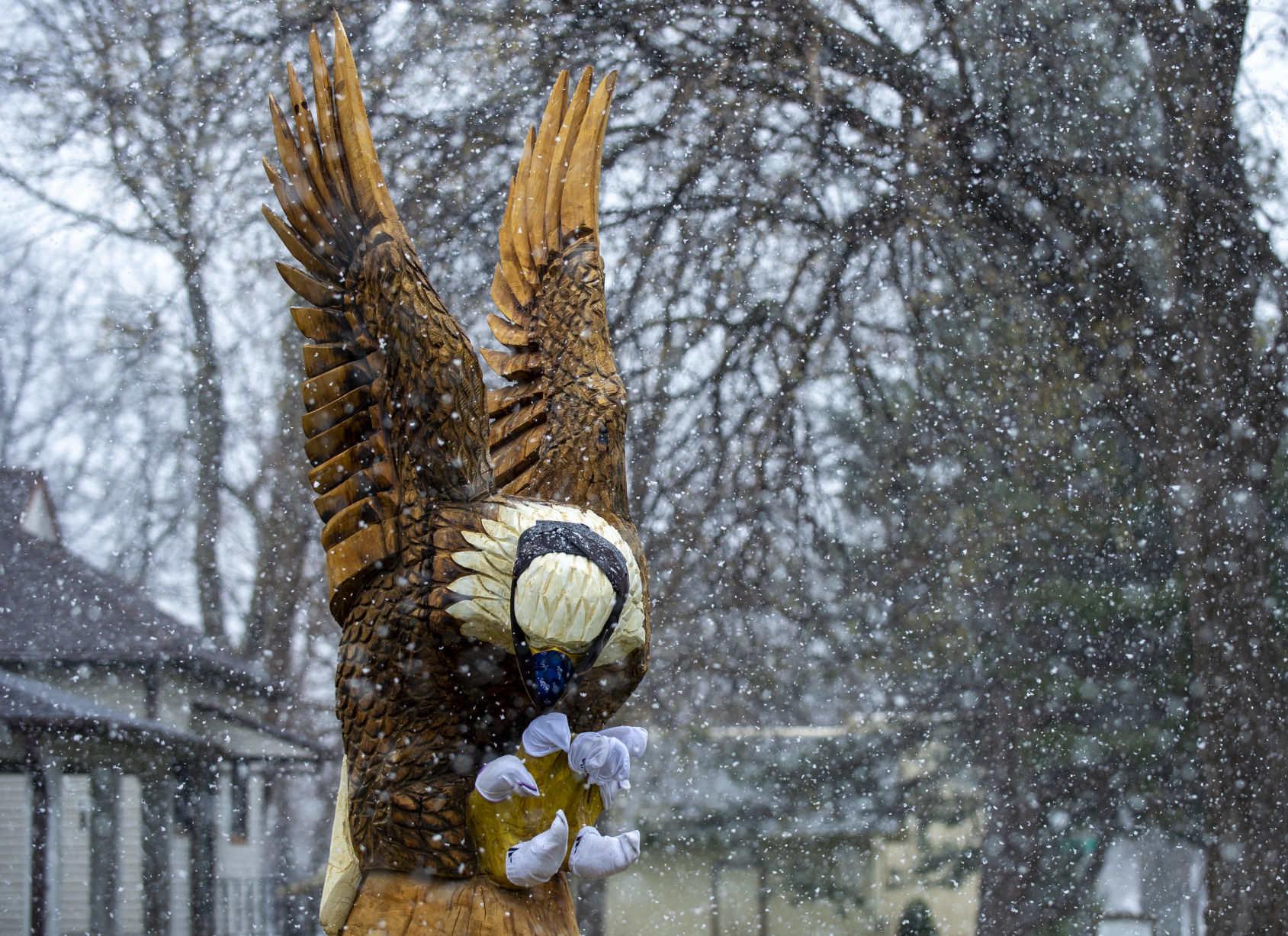 Eagle with PPE
